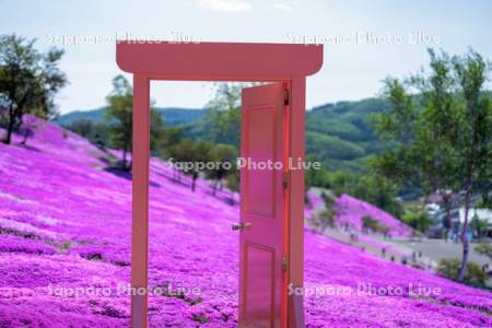 芝ざくら滝上公園どこまでもドア