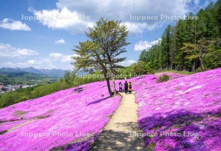 芝ざくら滝上公園