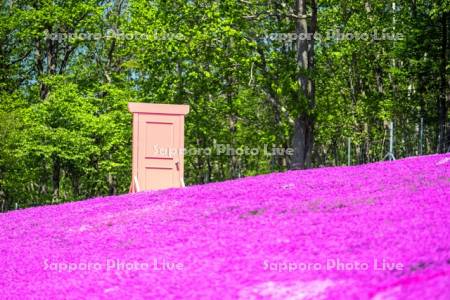 芝ざくら滝上公園どこまでもドア