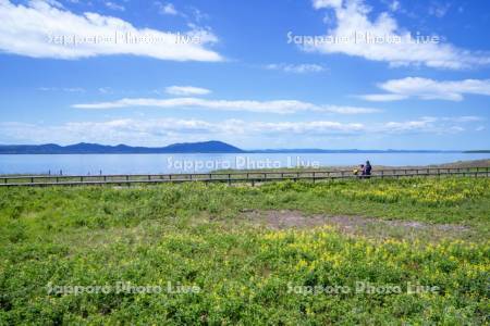 ワッカ原生花園
