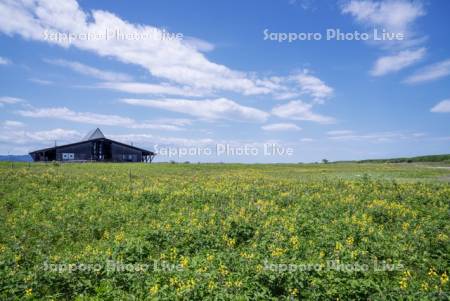 ワッカ原生花園ネイチャーセンター