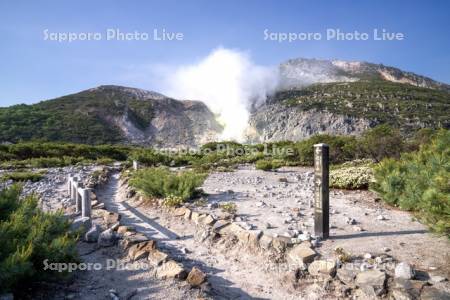 つつじヶ原と硫黄山