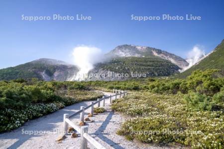 つつじヶ原と硫黄山