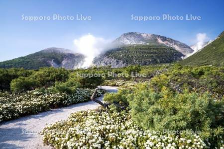 つつじヶ原と硫黄山