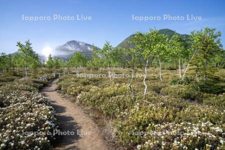 つつじヶ原と硫黄山