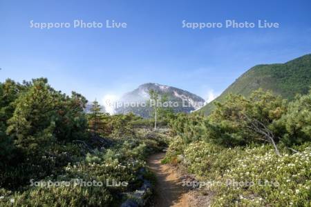 つつじヶ原と硫黄山