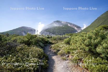 つつじヶ原と硫黄山