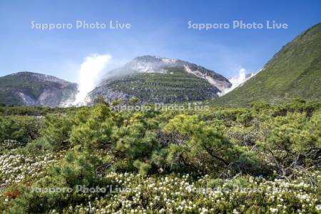 つつじヶ原と硫黄山