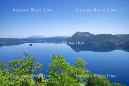 新緑と摩周湖