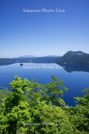 新緑と摩周湖