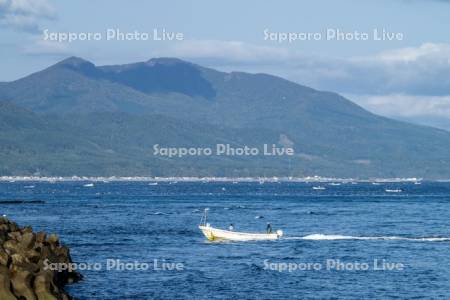 漁船　真昆布養殖