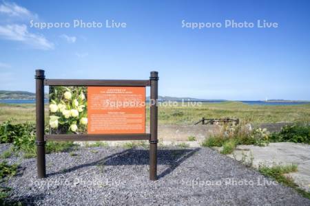レブンアツモリソウ看板