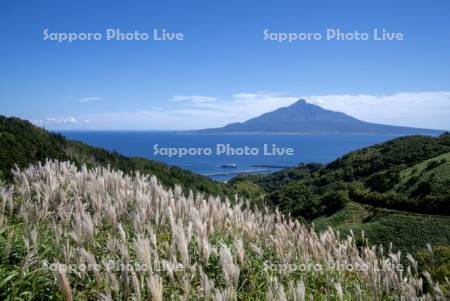 香深港のフェリーと利尻島
