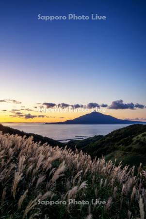 朝焼けのススキと利尻島