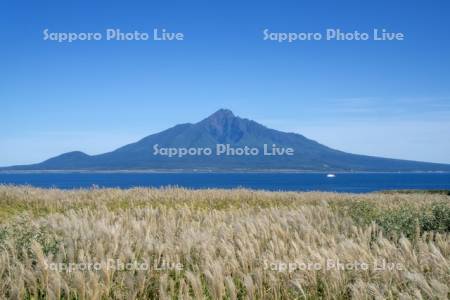 ススキと利尻島とフェリー