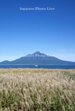 ススキと利尻島とフェリー