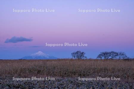 サロベツ湿原ビーナスベルト