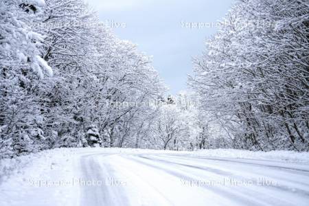 冬道　道道444号線