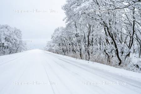 冬道　道道444号線