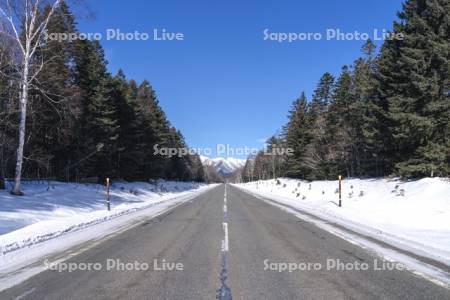 冬の国道273号線