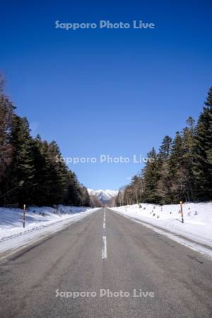 冬の国道273号線