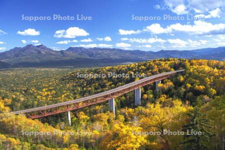 三国峠　松見大橋　R273