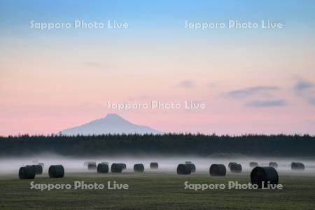 夕景の牧草ロールと利尻島