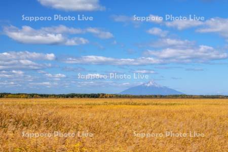 サロベツ湿原と利尻島