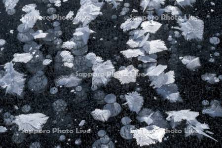 糠平湖のフロストフラワー