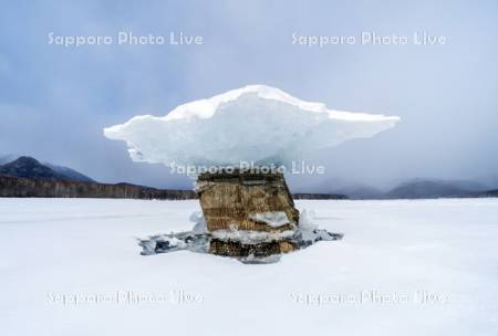 糠平湖のキノコ氷