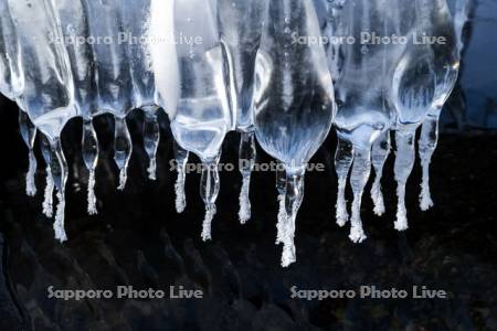 屈斜路湖のしぶき氷のつらら