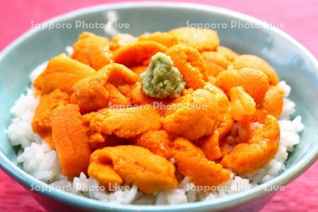 ウニ丼