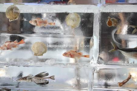 さっぽろ雪まつり　すすきの会場