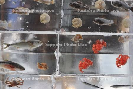 さっぽろ雪まつり　すすきの会場