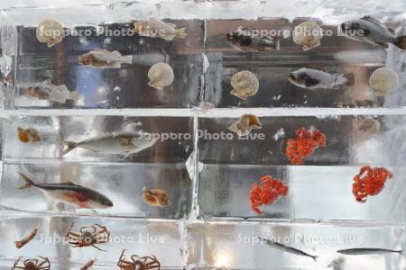 さっぽろ雪まつり　すすきの会場