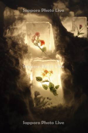 小樽雪あかりの路