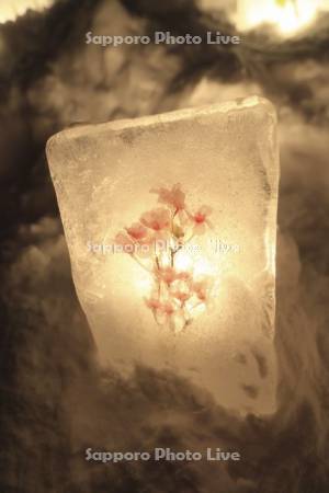 小樽雪あかりの路