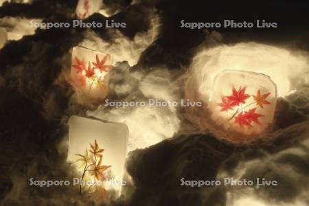 小樽雪あかりの路