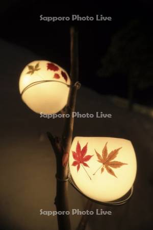 小樽雪あかりの路