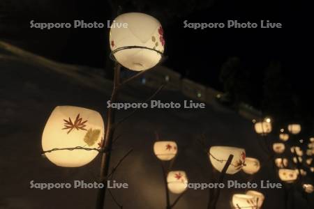 小樽雪あかりの路