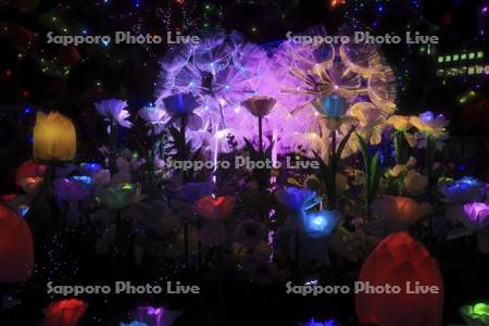 さっぽろホワイトイルミネーション　サツエキイルミネーション
