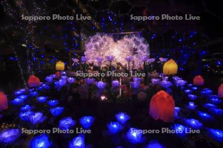 さっぽろホワイトイルミネーション　サツエキイルミネーション