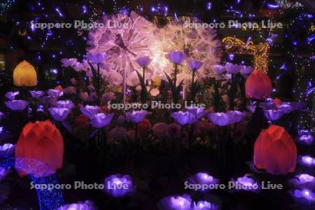 さっぽろホワイトイルミネーション　サツエキイルミネーション