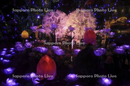さっぽろホワイトイルミネーション　サツエキイルミネーション