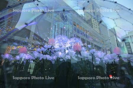さっぽろホワイトイルミネーション　サツエキイルミネーション