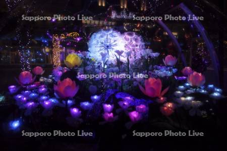 さっぽろホワイトイルミネーション