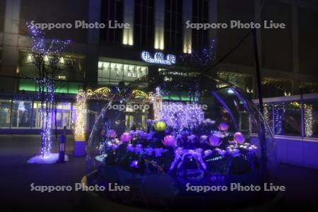 さっぽろホワイトイルミネーション
