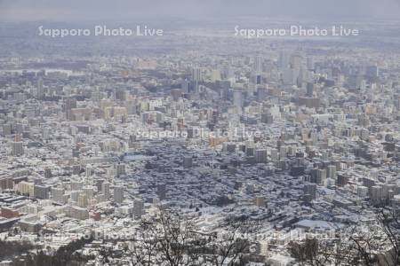 藻岩山より札幌市街地　中心部