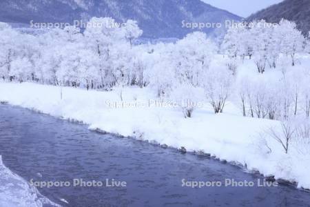 霧氷の空知川