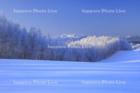 霧氷の丘陵地と芦別岳